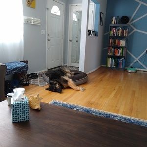 Meet your Posher, Caitlin